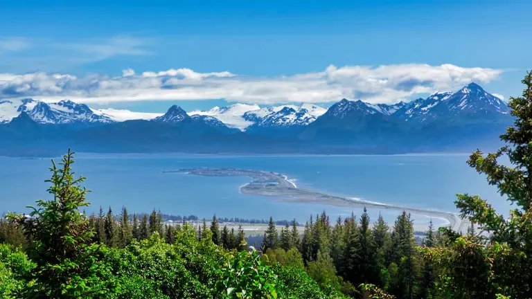 Panoramic view of a glacial spit extending into the sea with a backdrop of snow-capped mountains under a blue sky, seen from a vantage point amidst lush greenery in an Alaskan state park.