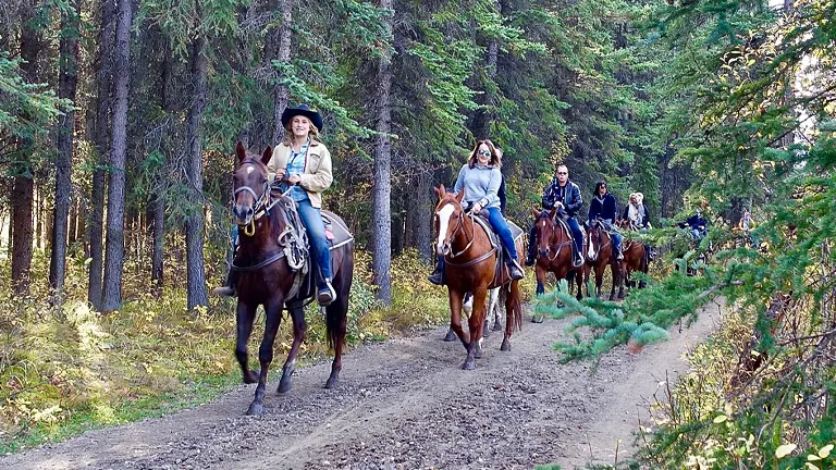 A line of horseback riders on a forest trail, with the lead rider smiling at the camera, surrounded by tall green trees and dappled sunlight.
