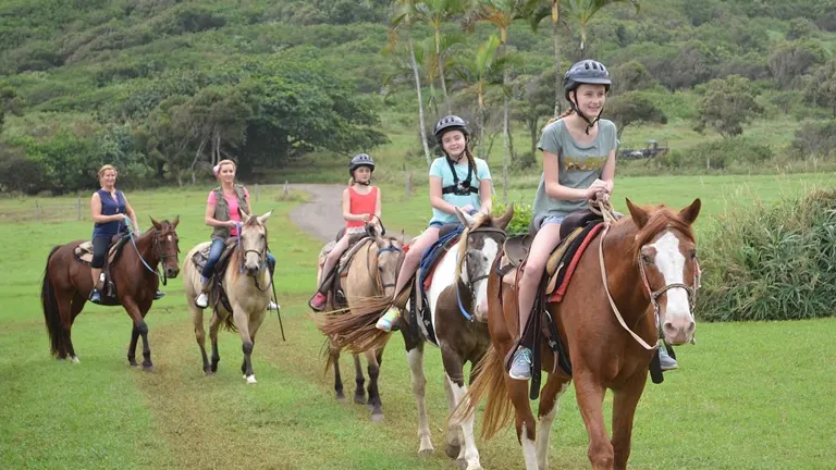 A cheerful group of riders on horseback in a verdant, grassy field, with a backdrop of lush hills and tropical foliage, enjoying a day of riding.


