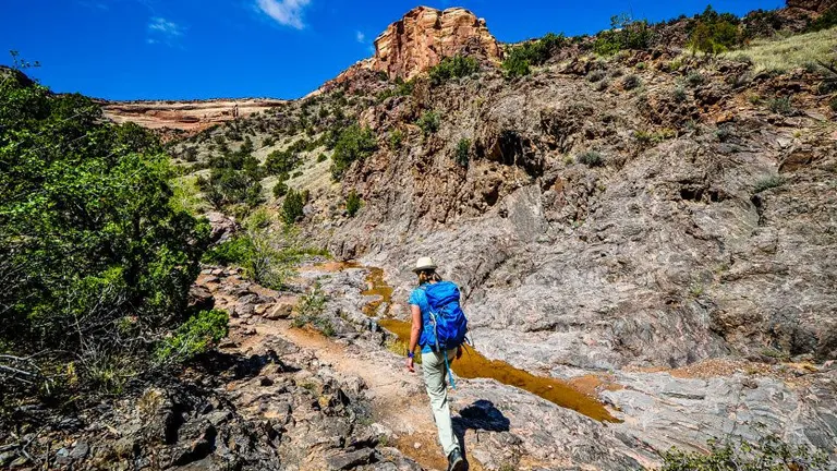 A hiker with a blue backpack trekking along a rocky trail in a canyon with sparse vegetation and a towering sandstone cliff under a bright blue sky.