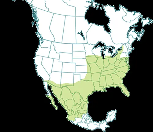 Map of the United States highlighting green areas where Giant Swallowtail Butterfly is distributed.