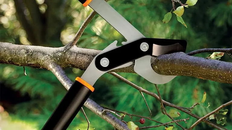 Fiskars PowerGear Bypass Lopper in action, cutting through a thick tree branch, showcasing the tool's sharp blade and the gear-enhancing cutting power.