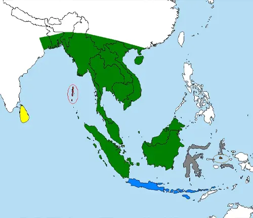 Map showing Asia's location; habitat of the Asian Water Monitor.