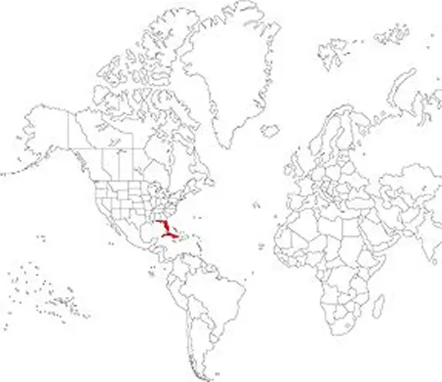 Distribution map of Knight Anole Lizard in the Caribbean islands, including Cuba, Jamaica, and the Cayman Islands.