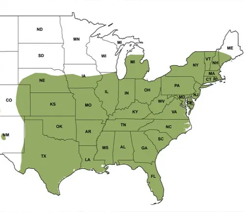 Map of US with green areas highlighting Virginia Opossum distribution.
