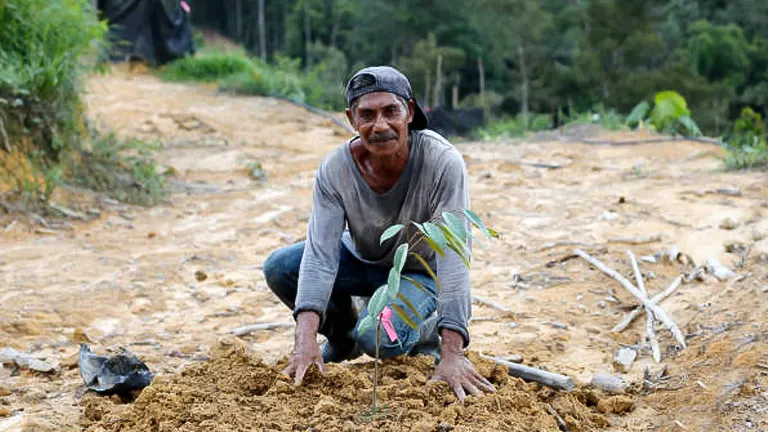 A smiling farmer crouching on the ground, planting a young durian sapling in a mound of soil, with a deforested hillside in the background.