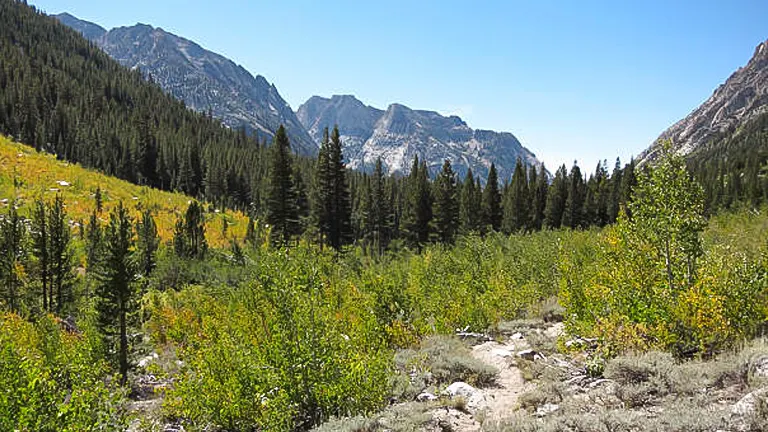 A trail leads through the lush greenery of Sierra National Forest with a backdrop of rugged mountain peaks under a clear blue sky.