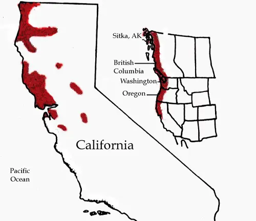 Map of California with red areas indicating the distribution of "Banana Slug".