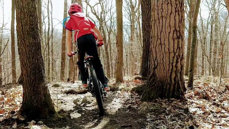 A mountain biker, clad in a pink helmet and red backpack, rides up a leaf-strewn trail through a bare forest, backlit by the sun.

