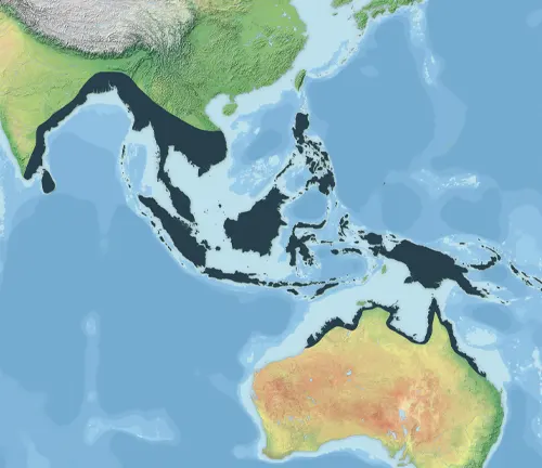 A map of Australia and Asia showing the distribution of the Saltwater Crocodile.