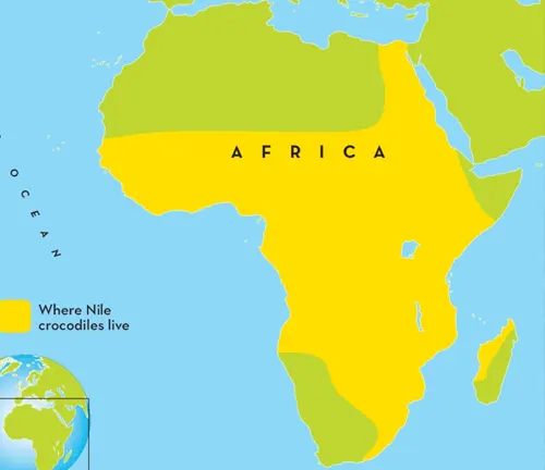 Map of Africa in yellow and green, highlighting the natural range of the Nile Crocodile.