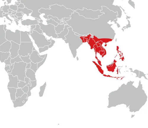 A map showing highlighted areas in red and grey, representing the distribution of the Tokay Gecko.