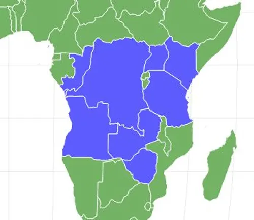  Map of Africa showing blue and green areas, highlighting distribution of Orange Baboon Tarantula.