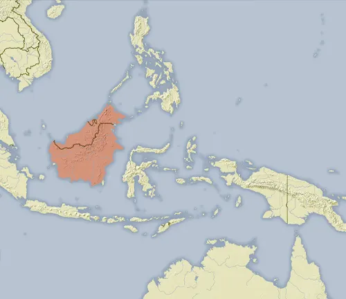 Map of the world showing the location of the Malaysian Peninsula with the distribution of the Malayan Porcupine.