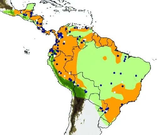 Distribution map of South American, highlighting "Southern Opossum" distribution.