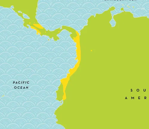 Map of the Pacific Ocean showing the distribution of "Glass Frogs".