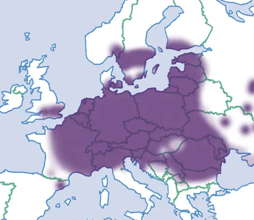 A map of Europe displaying COVID-19 infection rates. Additional information: "Roman Snail" Distribution.