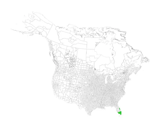A map of the United States with a green dot representing the distribution of the "Ramshorn Snail".