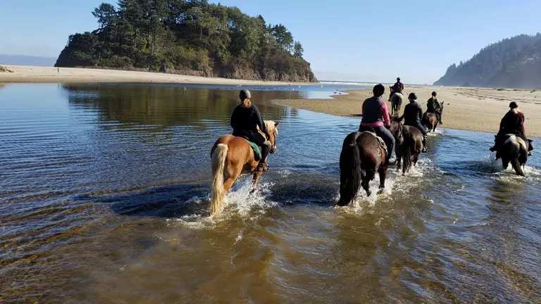 A line of riders on horseback crossing a shallow body of water on a sunny beach, with a clear blue sky above and a forested island in the background.


