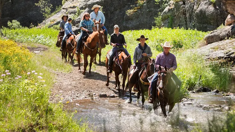 A group of riders in cowboy attire leading their horses through a shallow, sunlit stream, flanked by wildflowers and greenery, with a rocky terrain in the background.
