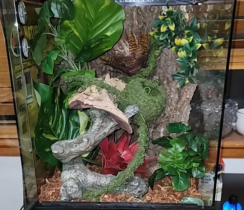 A Crested Gecko perched on a branch in a terrarium, showcasing its vibrant colors and unique texture.