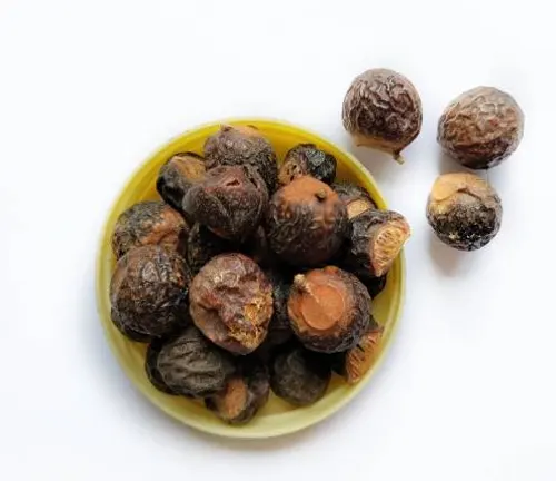 Soapberry Tree - A bowl of dried, wrinkled fruits on a white surface