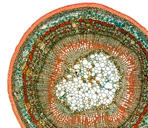 "Close-up of a colorful, circular woven basket with intricate patterns