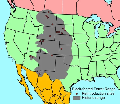 Map showing native habitat and geographic range of black-footed ferrets in the United States.