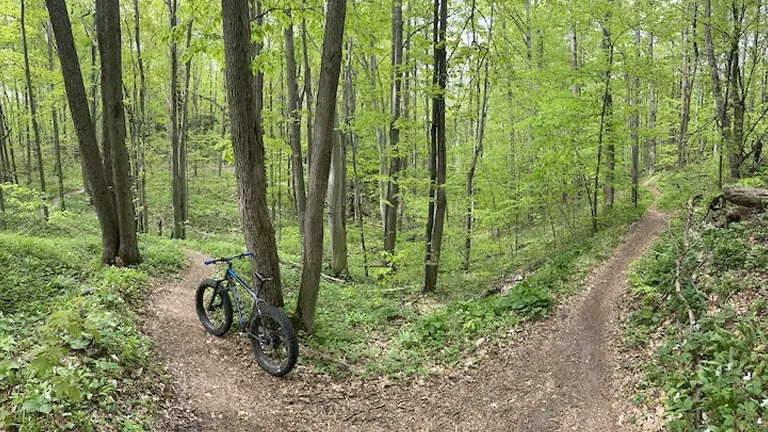 A blue mountain bike parked at a fork in a trail within a lush, green forest.
