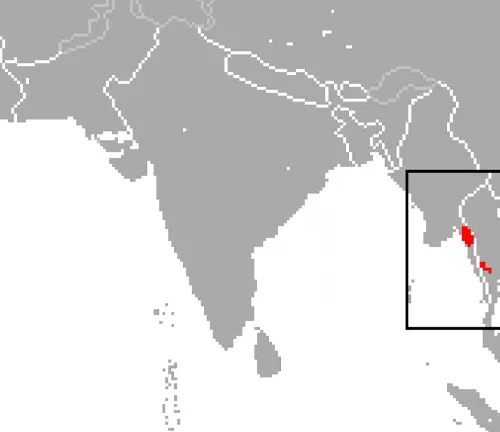 Map of Asia showing location of Asian tiger & Kitti's Hog-nosed bat distribution.