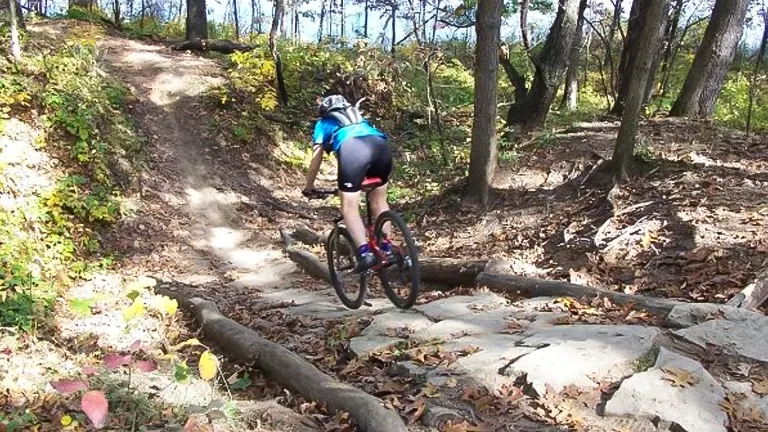 A cyclist in blue and black attire tackles a rocky descent on a mountain bike trail amid a forest with autumn leaves.
