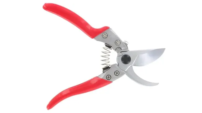 Open garden pruners with red handles isolated on white background.