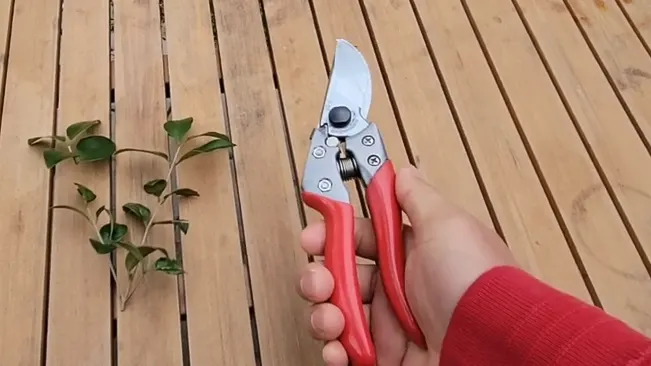 Hand holding ARS HP-VS8Z Signature Heavy Duty Pruner above a wooden deck, with a plant beside.