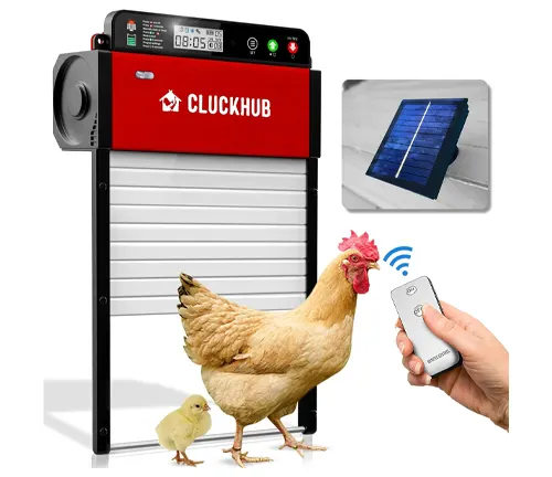 CLUCKHUB automatic chicken coop door with remote control and solar panel accessory