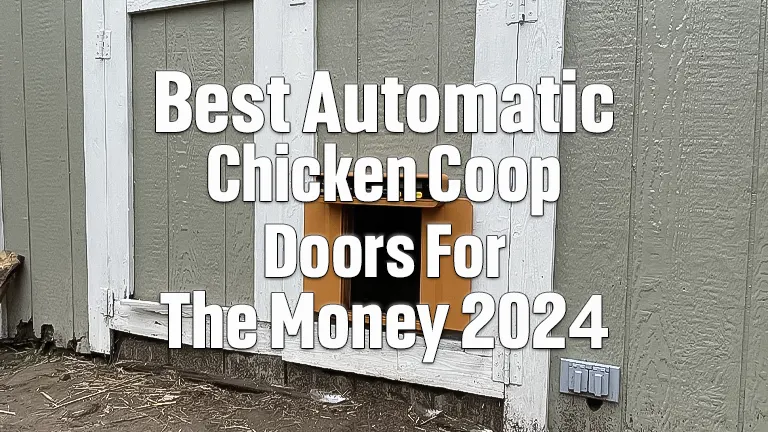 Best Automatic Chicken Coop Doors for the Money 2024