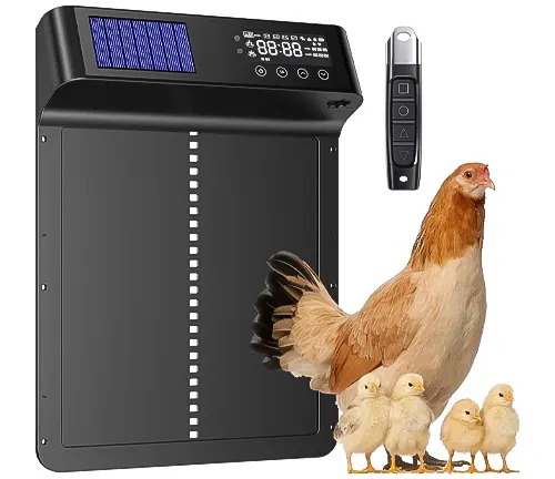 Automatic chicken coop door with solar panel, digital display, and remote control, accompanied by a hen and chicks