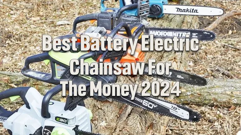 Best Battery Chainsaws for the Money 2024: Top Choices For User's Perspectives