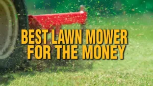 Best Lawn Mower for the Money 2024