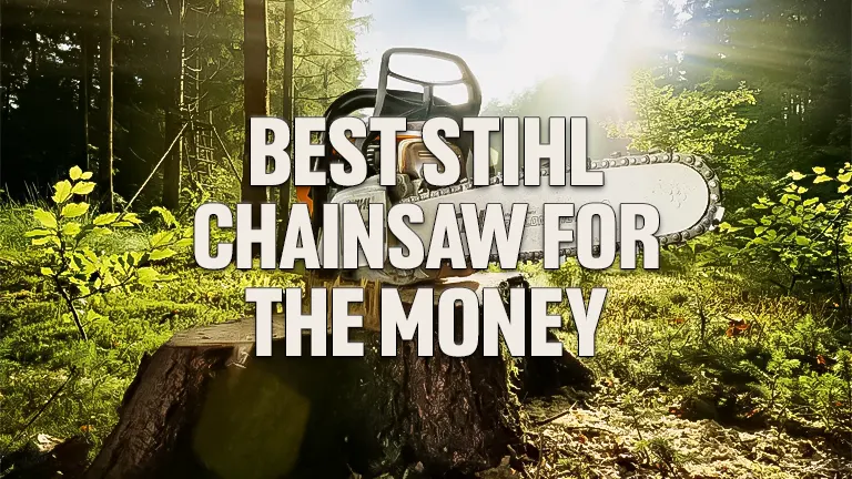 Best STIHL Chainsaws for the Money: 2024’s Top Picks for Power &amp; Precision