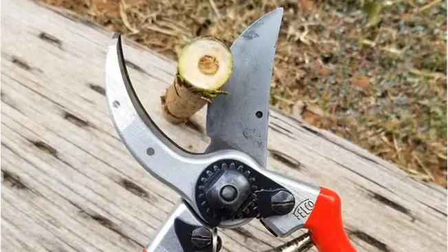 FELCO F2 Hand Pruner cutting a twig on a wooden surface.