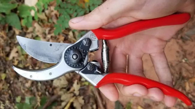 Close-up of a FELCO F2 Classic Manual Hand Pruner held in hand.