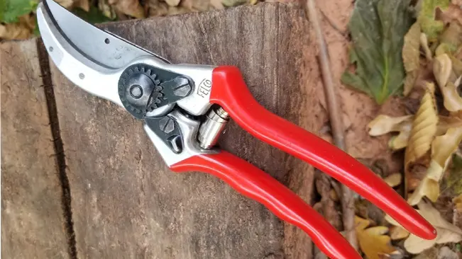 FELCO F2 Manual Hand Pruners on wooden background with leaves