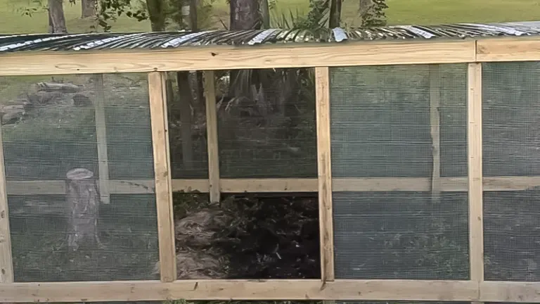 Close-up of a chicken coop run framework with hardware cloth and a partial tin roof