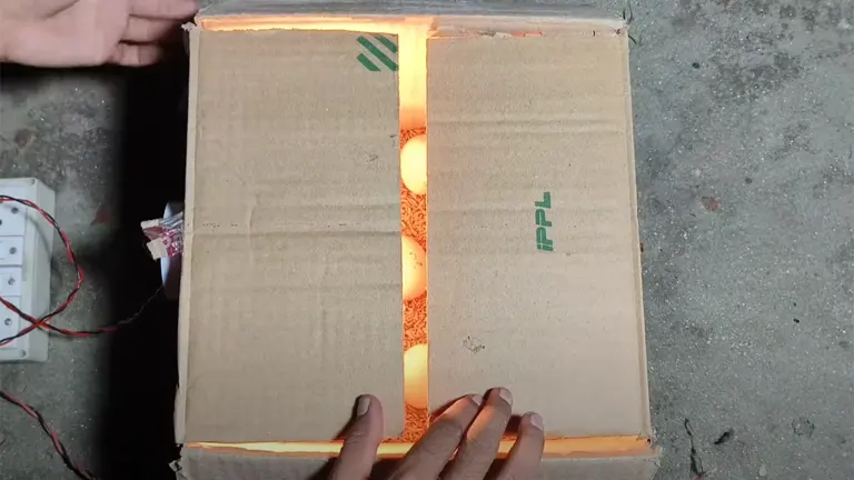 Closed cardboard egg incubator with light visible through ventilation holes