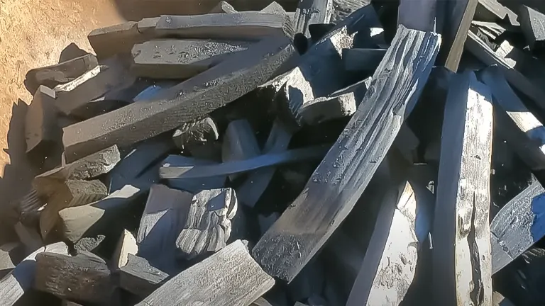 Pile of charred wood pieces, potentially used for odor control in a dirt-floor chicken coop