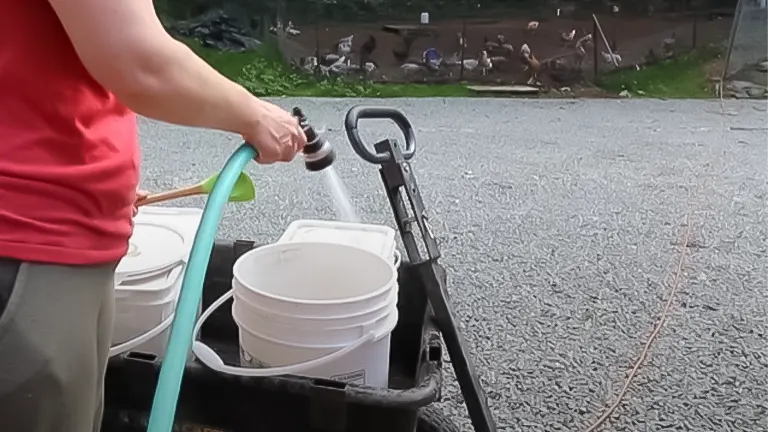 Person filling buckets with water from a hose, with ducks