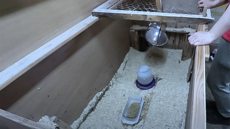 Interior of a chicken coop with a feeder, water dispenser, and tray of grains