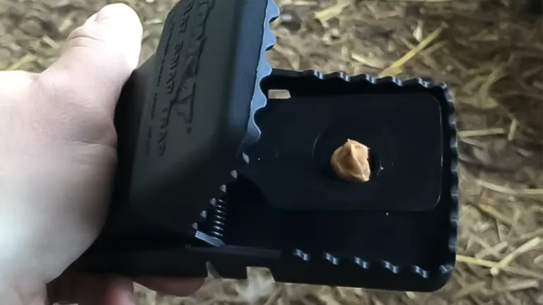 A hand setting a black plastic rat trap with a dollop of peanut butter as bait