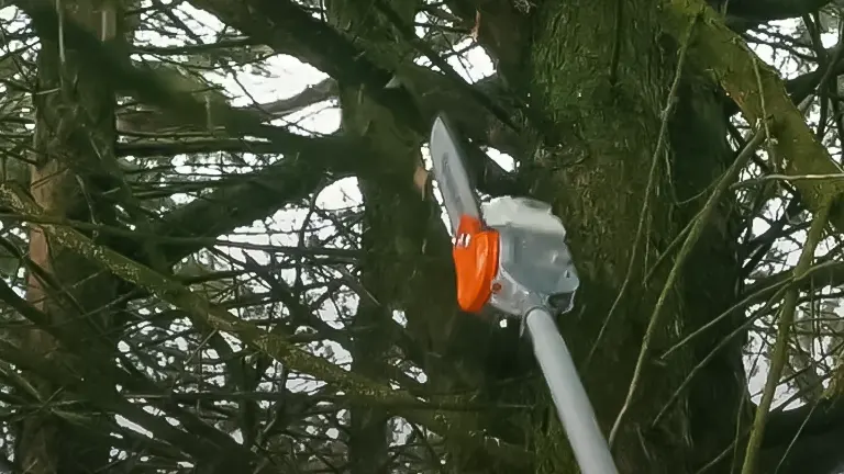 Husqvarna telescopic pole saw cutting high tree branches