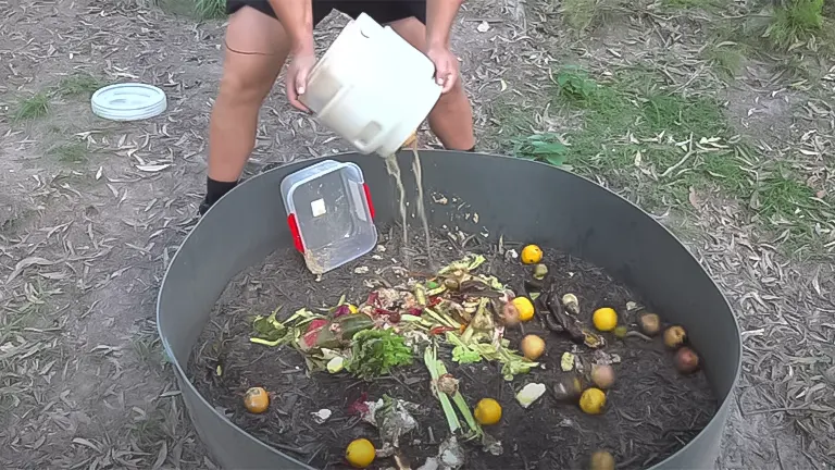 Person pouring kitchen waste into a large outdoor composting bin for chicken composting